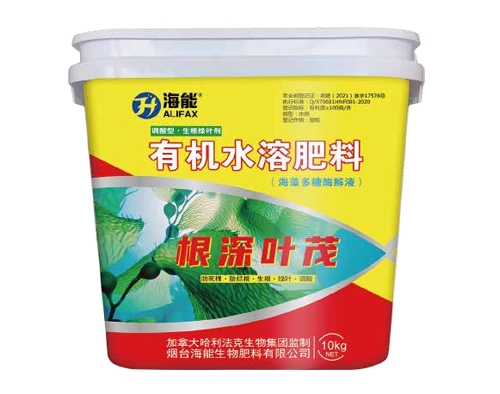 铜仁根深叶茂